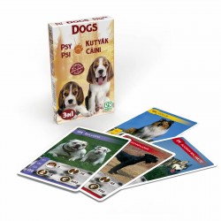 Set 3 jocuri cu carti intr-un singur pachet - Tema Catei